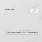 ボルチモア・オリオール ポストカード (裏面)