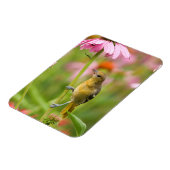 ボルチモア・オリオール マグネット (左側)