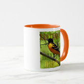 ボルチモア・オリオール・マグ – 11オズ。 マグカップ (正面右)