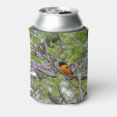 ボルチモア・オリオール 缶クーラー (缶裏面)