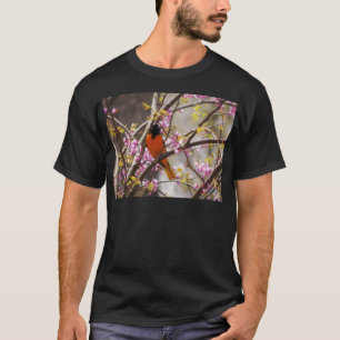 ボルチモア・オリオール Tシャツ