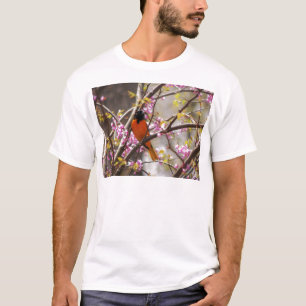 ボルチモア・オリオール Tシャツ