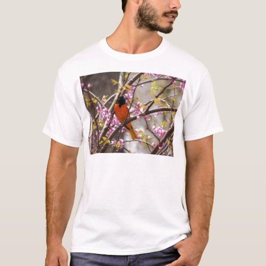 ボルチモア・オリオール Tシャツ (正面)