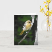 ボルチモア·オリ空白のオール カード (黄色い花)