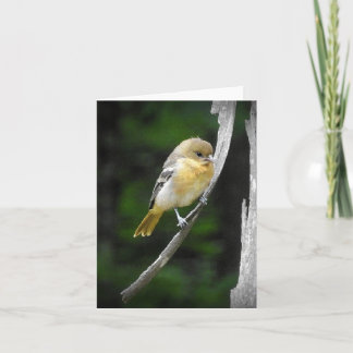 ボルチモア·オリ空白のオール カード