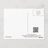 ボルチモア メリーランド州 ポストカード (裏面)