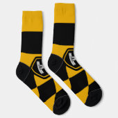 ボルチモア（メリーランド州）市旗 ソックス (右)