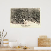 ボルチモア(Spofford) - MEDIUM QUALITY, see note ポスター (キッチン)