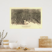 ボルチモメリーランド1912アンティークパノラママップ ポスター (キッチン)