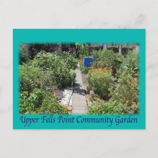 ボルティモアの緑の宇宙UFPIAの郵便はがき ポストカード (正面)