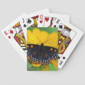 ボルティモアは点の蝶を市松模様にしました トランプ (裏面)