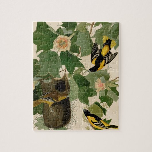 ボルティモア・オリオールズまれなAudubon ジグソーパズル (縦)