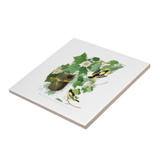 ボルティモア・オリオールズジョン・ジェームズ・オーデュボン鳥アメリカ タイル