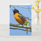 ボルティモア・オリオールズ挨拶状 カード (黄色い花)