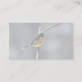 ボルティモア・オリオールズ 名刺 (裏面)