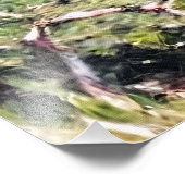 ボルディゲラ フォトプリント            (角)