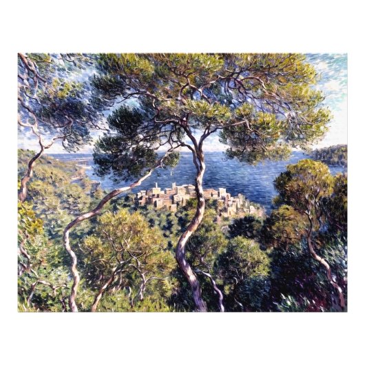 ボルディゲラ フォトプリント            (正面)