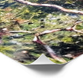 ボルディゲラ ポスター (コーナー)