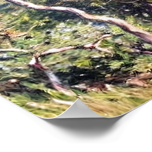 ボルディゲラ ポスター (角)