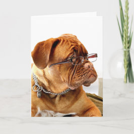 ボルデオークス シーズンカード