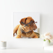 ボルデオークス スクエア壁時計 (ホーム)