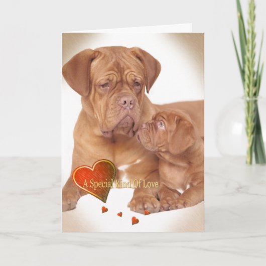 ボルドー特別な一種の愛 シーズンカード (正面)