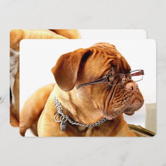 ボルドー・マスティフ、マスティフ・ボルドーフランスの・ギフト (正面/裏面)