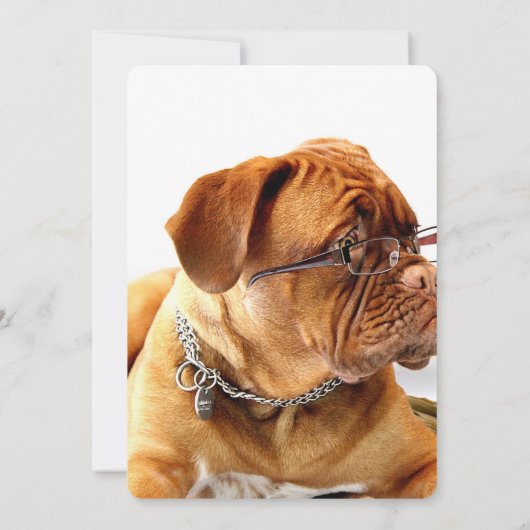 ボルドー・マスティフ、マスティフ・ボルドーフランスの・ギフト (裏面)