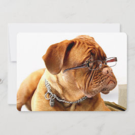 ボルドー・マスティフ、マスティフ・ボルドーフランスの・ギフト