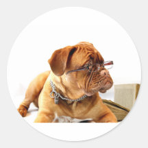 ボルドー・マスティフ、マスティフ・ボルドーフランスの・ギフト