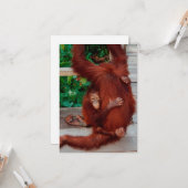 ボルネオのオランウータン カード (正面/裏面インサイチュ)