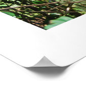 ボルネオのベビー ポスター (角)