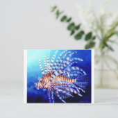 ボルネオのライオン魚 ポストカード (スタンド正面)