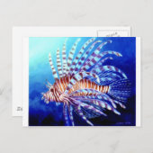 ボルネオのライオン魚 ポストカード (正面/裏面)