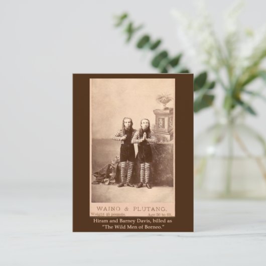 ボルネオの野蛮人のカード、はがき ポストカード (スタンド正面)
