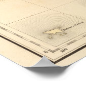 ボルネオセアニアno 20 ポスター (角)