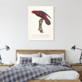 ボルネオヒメインコ Trichoglossus borneus キャンバスプリント (インサイチュ (寝室))