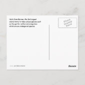 ボルネオランウタン島 ポストカード (裏面)