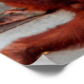 ボルネオランウタン ポスター (角)