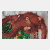 ボルネオランウタン 長方形シール (正面)