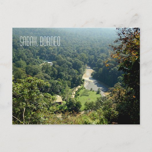 ボルネオ熱帯雨林ジャングルエアリアルビュー写真 ポストカード (正面)
