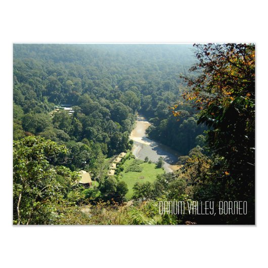 ボルネオ熱帯雨林ジャングルダヌムバレー写真 フォトプリント            (正面)