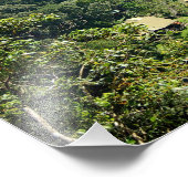 ボルネオ熱帯雨林ジャングルダヌムバレー写真 フォトプリント            (角)