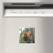 ボルネオ野生生物 マグネット (インサイチュ (食洗機))