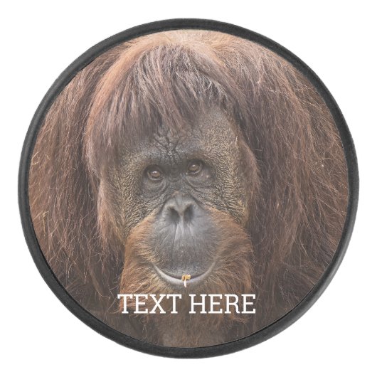 ボルネオ・オランウータン美しい写真 アイスホッケーパック (正面)