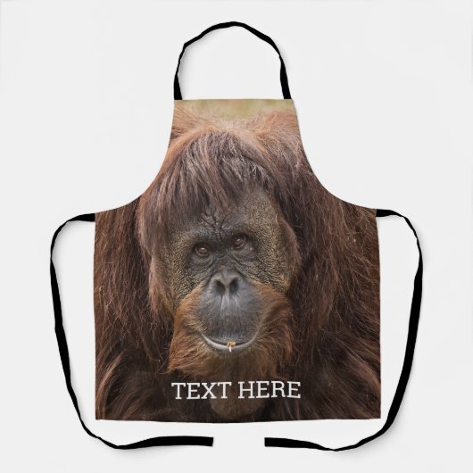 ボルネオ・オランウータン美しい写真 エプロン (正面)