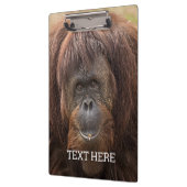 ボルネオ・オランウータン美しい写真 クリップボード (左)