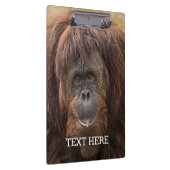 ボルネオ・オランウータン美しい写真 クリップボード (右)