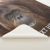 ボルネオ・オランウータン美しい写真 シェルパブランケット (3/4)