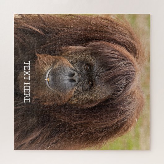 ボルネオ・オランウータン美しい写真 ジグソーパズル (横)